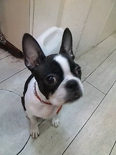 lot🍀永井多恵子