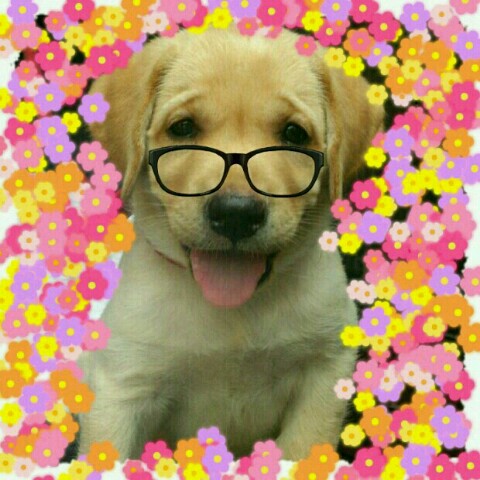 あおみどり