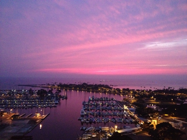 大村（こんちゃん）