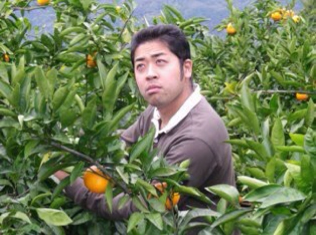 ミカン畑のプリンス