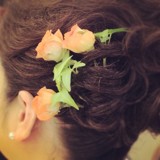 𝕄𝕚𝕕𝕠𝕣𝕚 みーあ