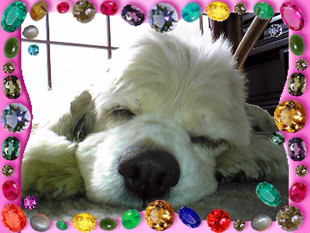 woodsママ（橋本千波）