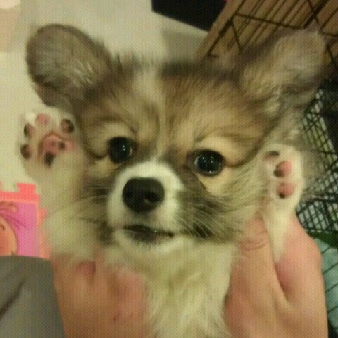 看看yao的個人專頁